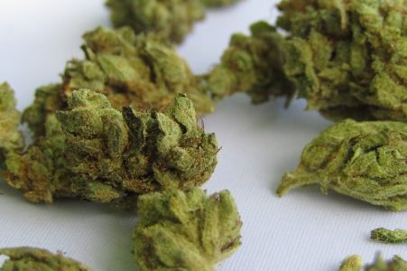 Popular Cannabis Strains